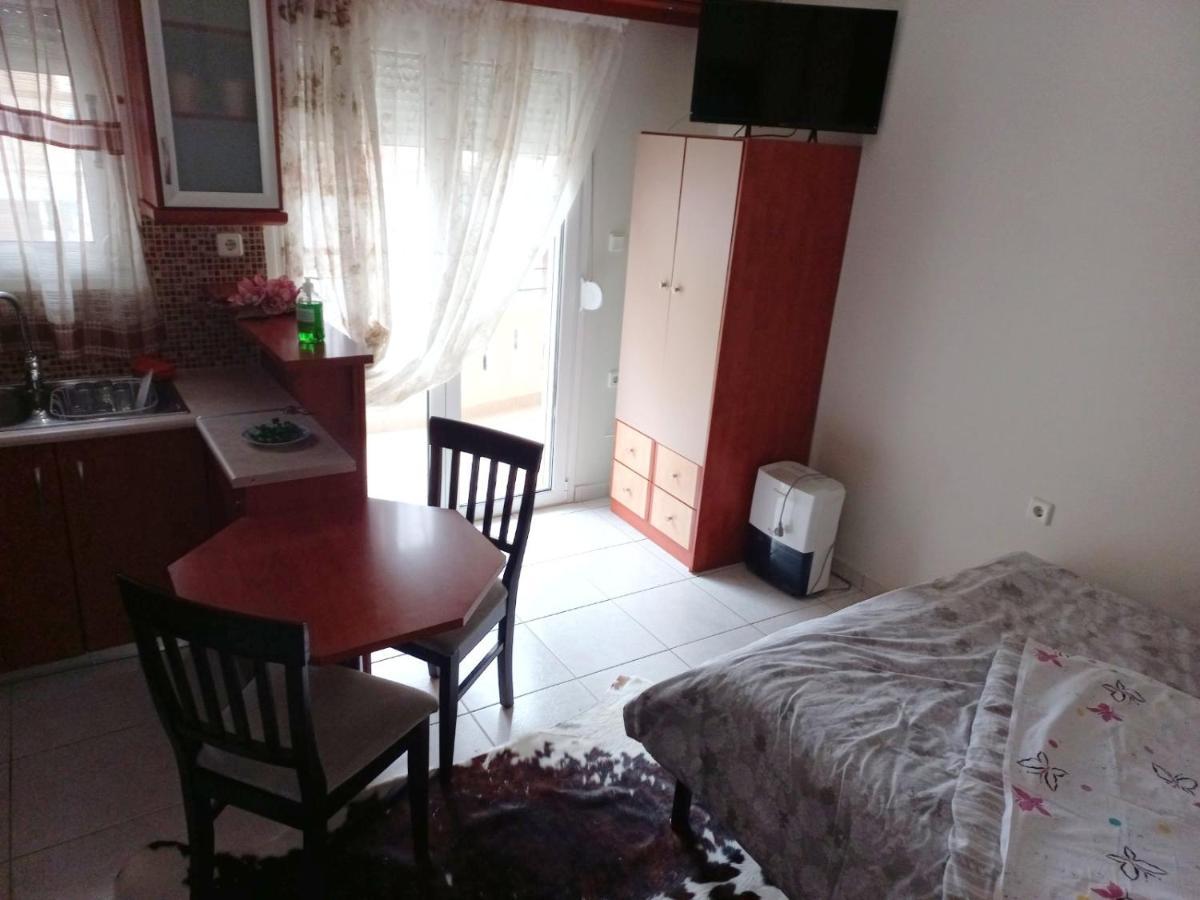 Ιάνθη Studio Apartment คาร์ดิทซา ภายนอก รูปภาพ
